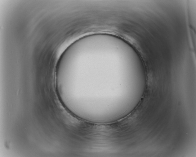 X0000103301520200809122018