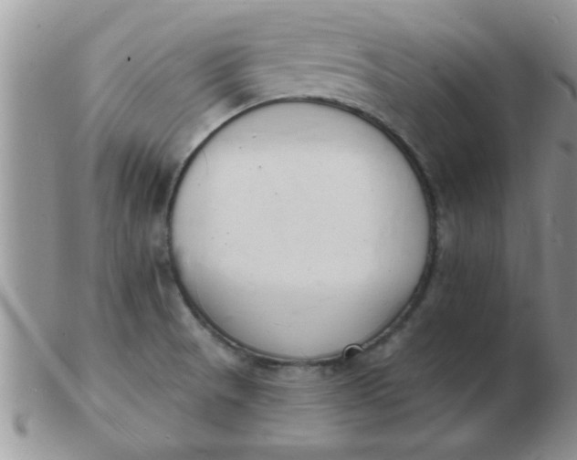 X0000103301521200809122018