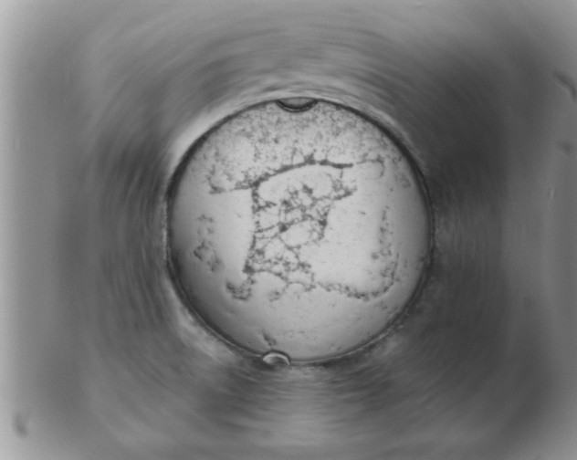 X0000103301522200809122018