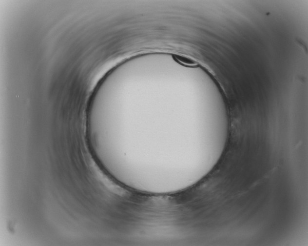 X0000103301523200809122018