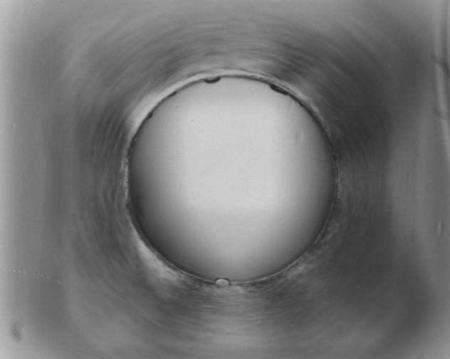 X0000103301524200809122018