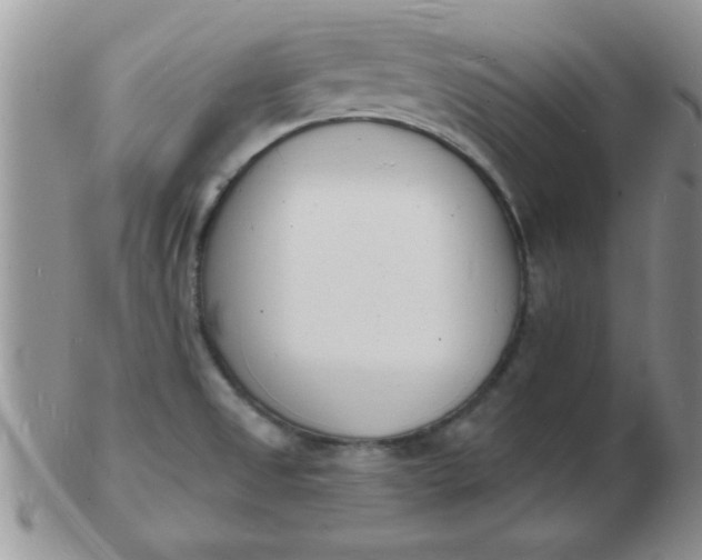 X0000103301525200809122018