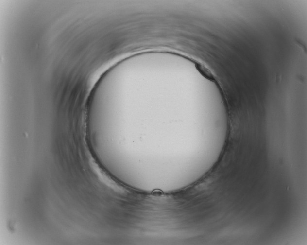 X0000103301526200809122018