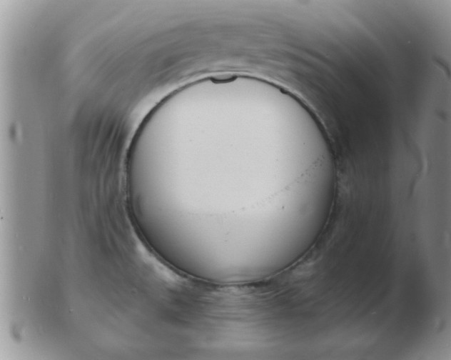 X0000103301527200809122018