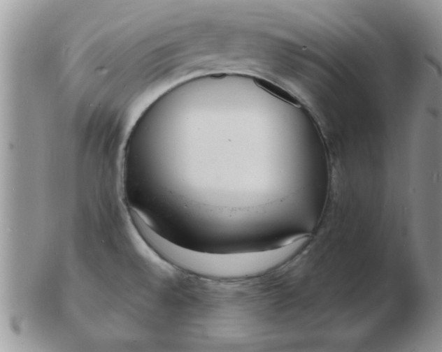 X0000103301528200809122018