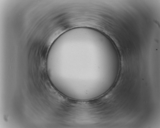 X0000103301529200809122018