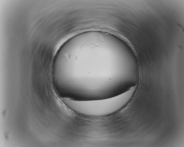 X0000103301530200809122018