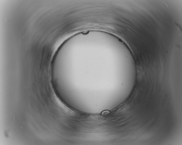 X0000103301531200809122018