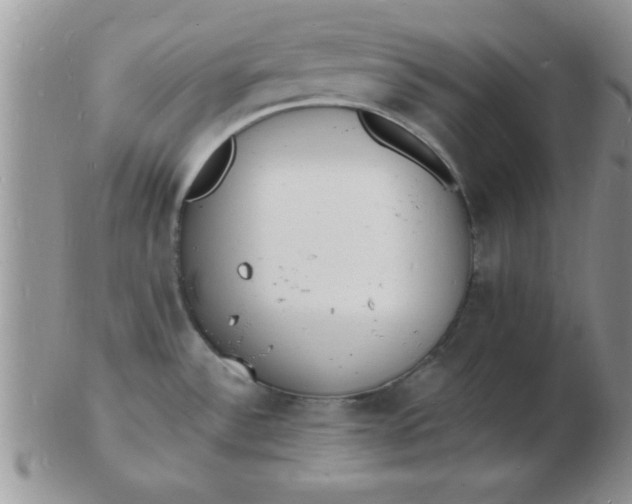 X0000103301532200809122018