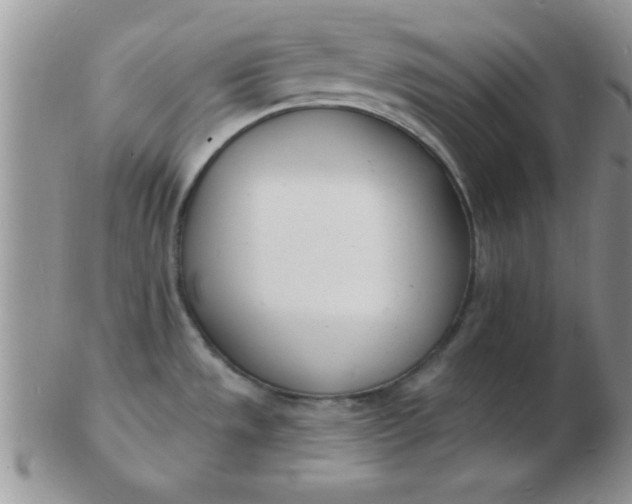 X0000103301533200809122018