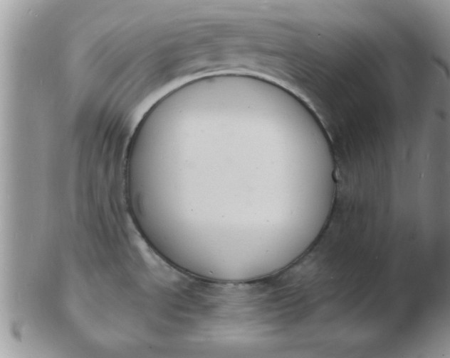 X0000103301534200809122018