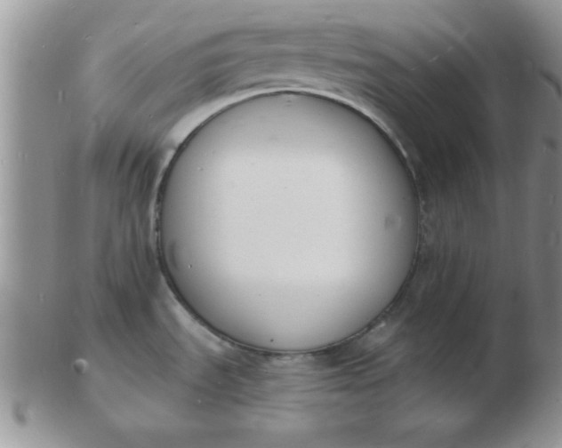 X0000103301535200809122018