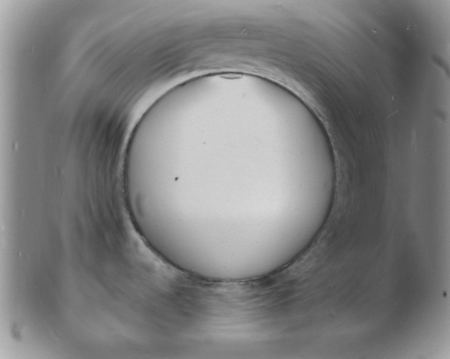 X0000103301536200809122018