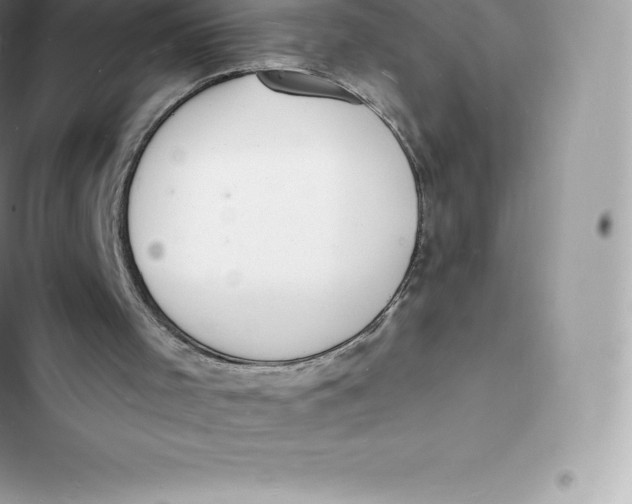 X0000103300001200809191905