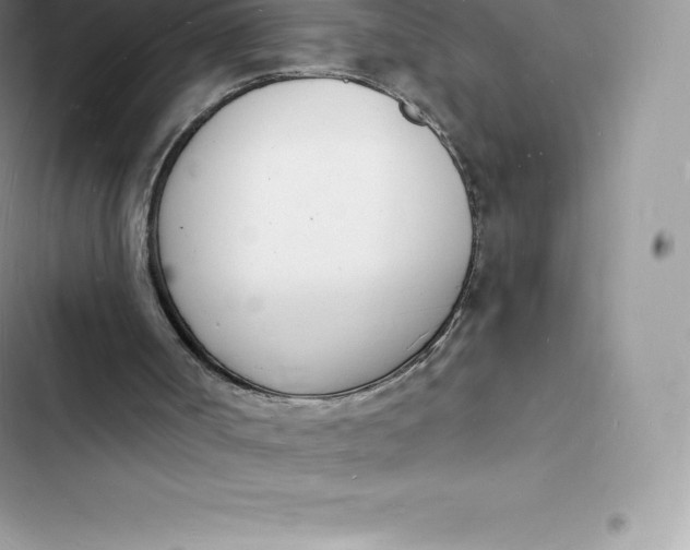 X0000103300002200809191905