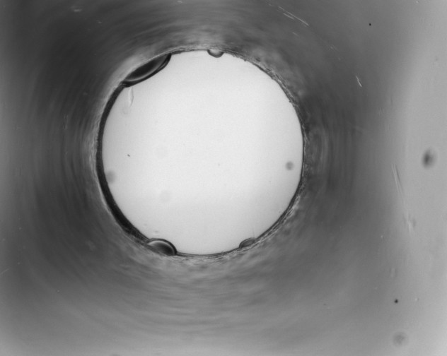 X0000103300003200809191905