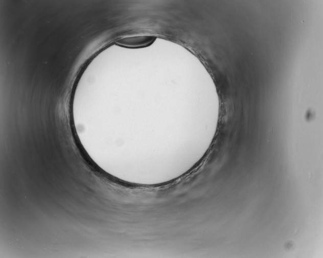 X0000103300004200809191905