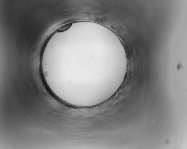 X0000103300005200809191905