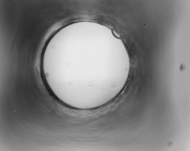 X0000103300006200809191905