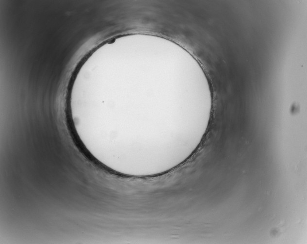 X0000103300007200809191905