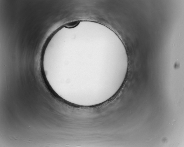 X0000103300008200809191905