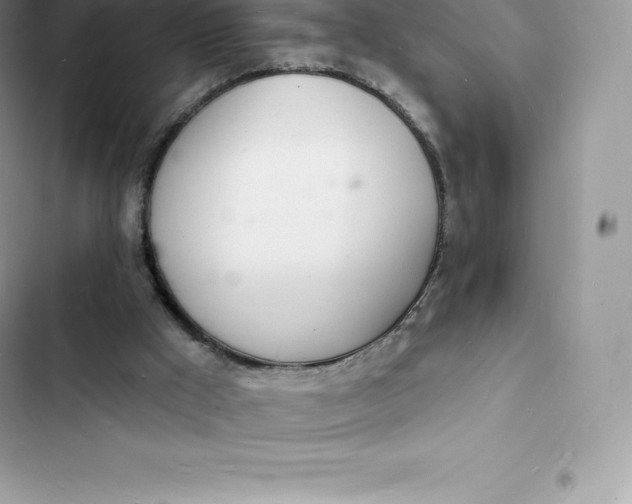 X0000103300009200809191905