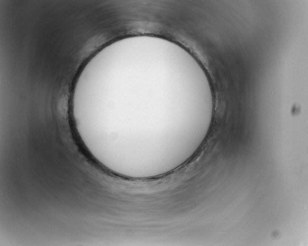 X0000103300010200809191905