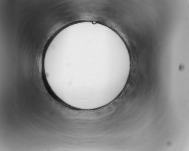 X0000103300011200809191905