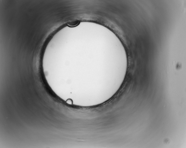 X0000103300012200809191905