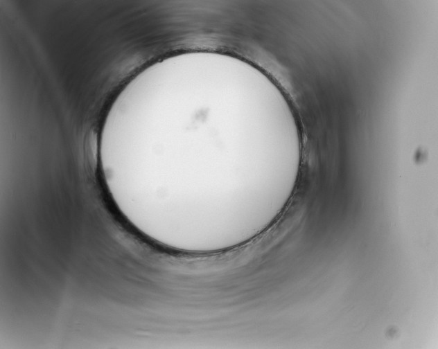 X0000103300013200809191905