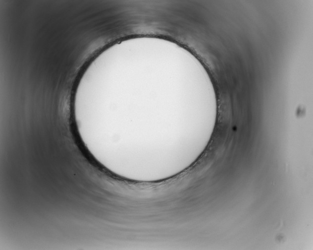 X0000103300015200809191905