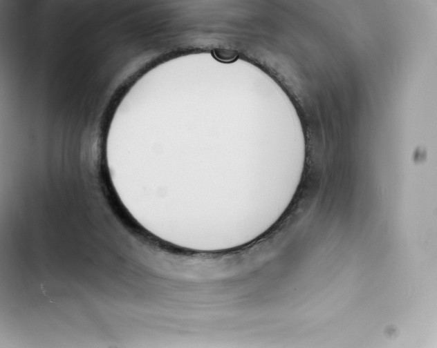 X0000103300016200809191905