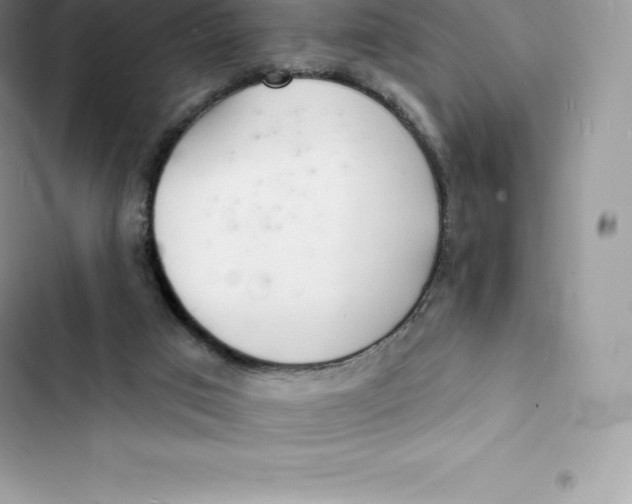 X0000103300017200809191905