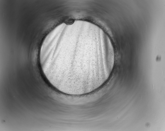 X0000103300018200809191905