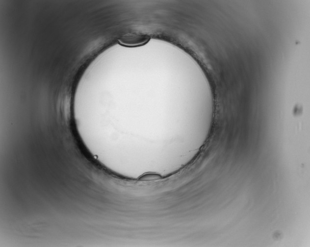 X0000103300019200809191905