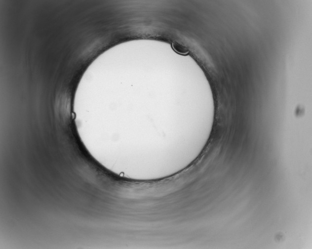 X0000103300021200809191905