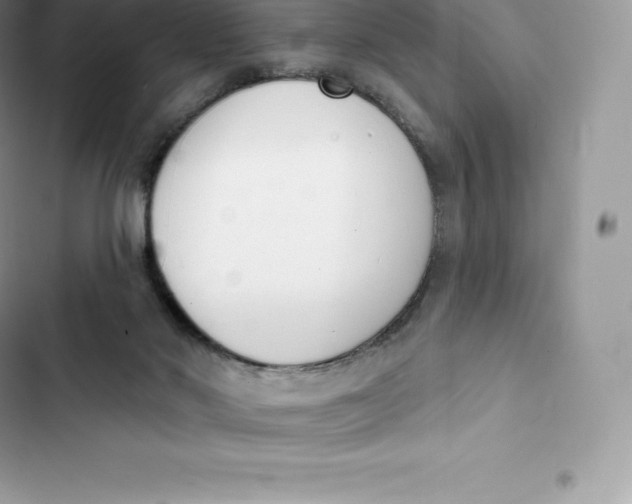 X0000103300022200809191905