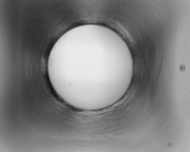 X0000103300025200809191905