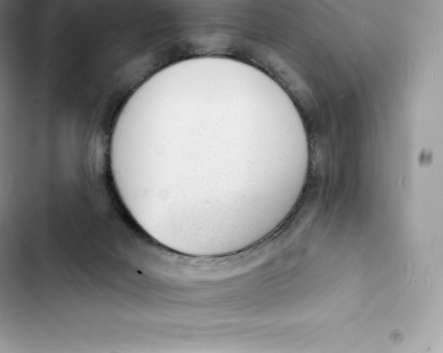 X0000103300026200809191905