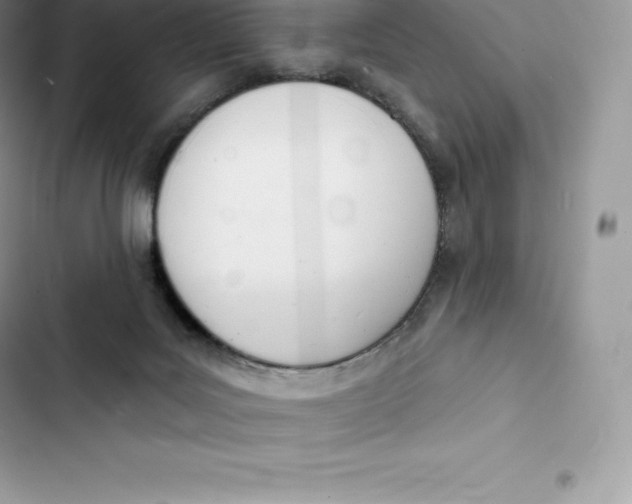 X0000103300027200809191905