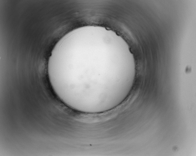 X0000103300029200809191905