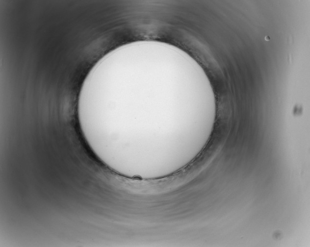 X0000103300030200809191905