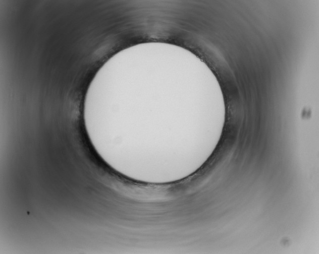 X0000103300032200809191905