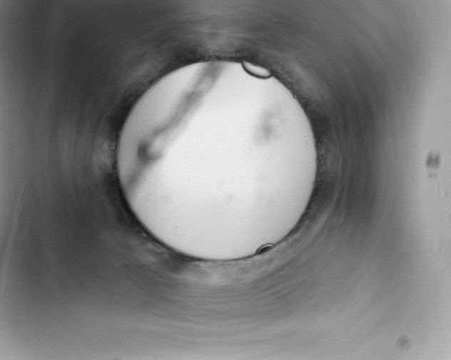 X0000103300033200809191905