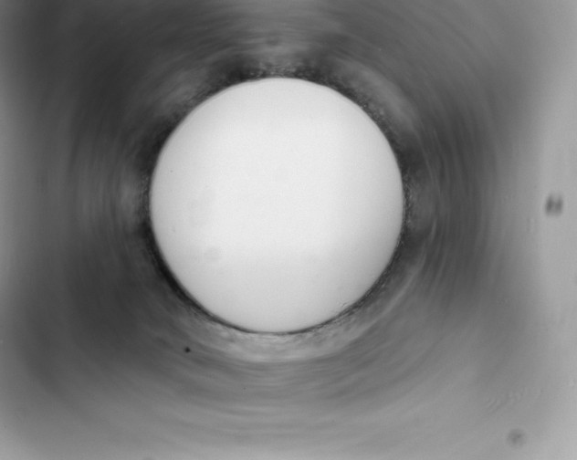 X0000103300034200809191905