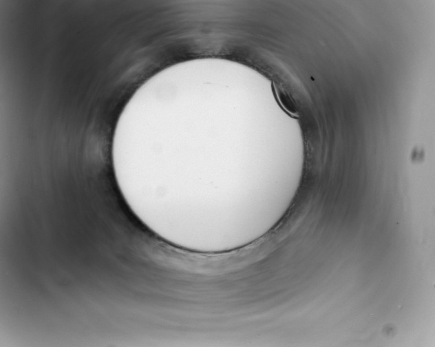 X0000103300035200809191905