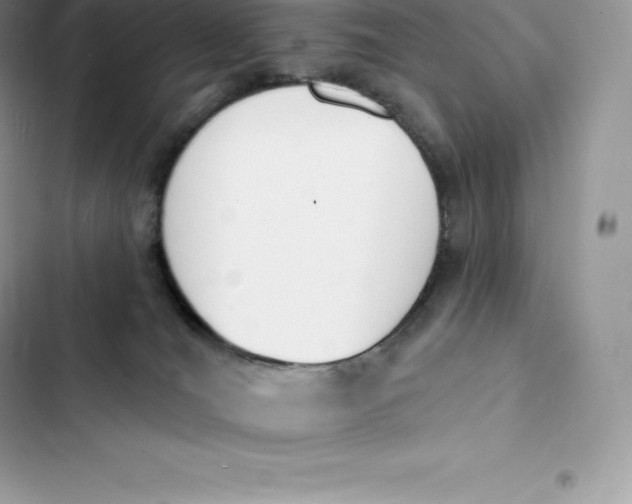 X0000103300036200809191905