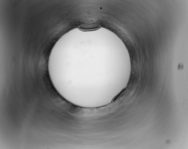 X0000103300037200809191905