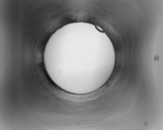 X0000103300039200809191904