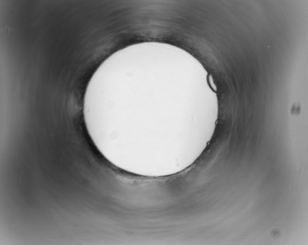 X0000103300040200809191904